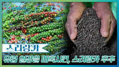 유럽 열강을 매혹시킨, 스리랑카 후추 | KBS 260124 방송 