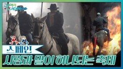 사람과 말이 하나되는 축제, 라스 루미나리아스 | KBS 260228 방송 