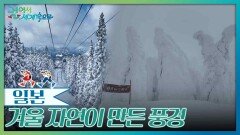 겨울 자연이 만든 풍경 ‘스노우 몬스터’ | KBS 260314 방송 