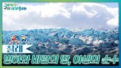 빙하와 바람의 땅, 야생의 순수 ‘파타고니아’ | KBS 260502 방송 