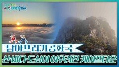 산과 바다, 도심이 함께 펼쳐지는 케이프타운 | KBS 260704 방송 