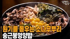 원기를 돋우는 동의보감 속 소나무뿌리, ‘송근봉영양밥’ | KBS 260226 방송 