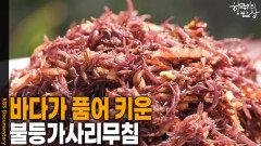 바다가 품어 키운 ‘불등가사리무침’ | KBS 260430 방송 