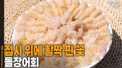 접시 위에 활짝 핀 꽃, ‘돌장어회’ | KBS 260604 방송 