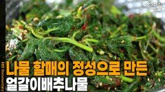 나물 할매의 정성으로 만든 ‘얼갈이배추나물’ | KBS 260604 방송 