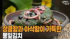 상큼함과 아삭함이 가득한 ‘뽕잎김치’ | KBS 260618 방송 