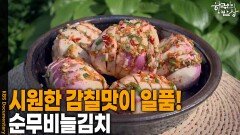 시원한 감칠맛이 일품! ‘순무비늘김치’ | KBS 260618 방송 
