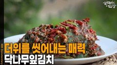 더위를 씻어내는 매력 ‘닥나무잎김치’ | KBS 260618 방송 