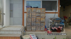 [예고] ＜씨앗의 시간＞ | KBS 250509 방송 