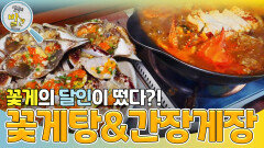 속이 꽉 찬 꽃게탕 & 밥도둑 계의 일인자 간장게장 | KBS 240423 방송