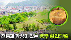 전통과 감성이 머무는 거리! 경주 황리단길 | KBS 251020 방송 