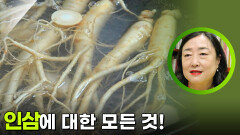 인삼에 대한 모든 것! ＂인삼 더 효과적으로 먹는 법＂ | KBS 251201 방송 