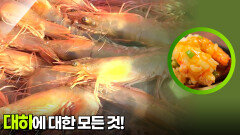 대하에 대한 모든 것! ＂대하 알차게 먹는 법 대공개＂ | KBS 260112 방송 