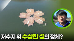 저수지 위 수상한 섬의 정체? | KBS 260119 방송 