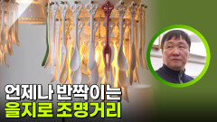 언제나 반짝이는 을지로 조명거리 | KBS 260414 방송 