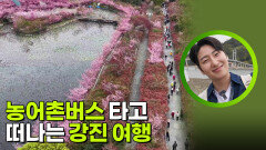 농어촌버스 타고 떠나는 강진 여행 | KBS 260526 방송 