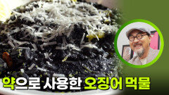 약으로 사용한 오징어 먹물 | KBS 260609 방송 