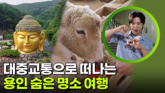 용인경전철과 시내버스로 떠나는 용인 명소 여행 | KBS 260714 방송 