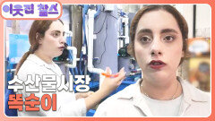 [튀르키예 : 루메이사] (1/3) [이웃집 찰스] | KBS 251111 방송 