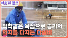 [브라질 : 다실바] (3/3) [이웃집 찰스] | KBS 260331 방송 