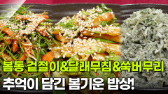 [인생톡 공감톡] 추억이 담긴 봄기운 밥상! 봄동 겉절이&달래무침&쑥버무리 | KBS 260418 방송 