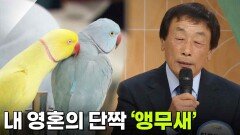 [인생톡 공감톡] 내 영혼의 단짝 ‘앵무새’ | KBS 260502 방송 