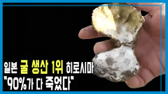 굴 집단 폐사, 충격에 빠진 일본 | KBS 251206 방송 