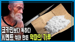 코카인 카르텔 소굴, 콜롬비아 칼리를 가다 | KBS 251213 방송 