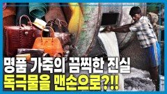 방글라데시 값싼 가죽의 그늘, 위험에 내몰린 노동자들 | KBS 260502 방송 
