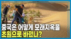 사막화 막는 ‘녹색 만리장성’ | KBS 260530 방송 