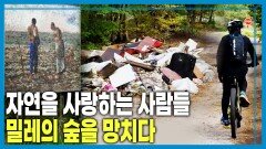 역효과 난 자연 사랑, 신음하는 퐁텐블로 숲 | KBS 260620 방송 