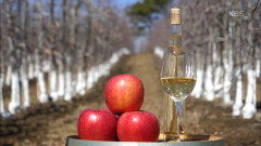 예산의 특산물 사과, 사과로 만든 와인 ‘사과주’