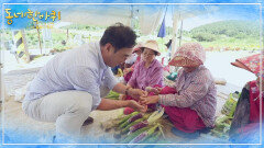 당일 수확, 당일 판매가 철칙인 ‘옥수수 할머니 장터’와 세 친구의 알싸한 우정 ‘갓도넛’ | KBS 220730 방송