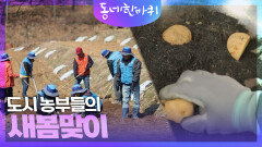 도시 농부들의 새봄맞이 | KBS 240323 방송