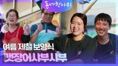 여름 제철 보양식 갯장어샤부샤부 | KBS 240706 방송
