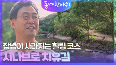 잡념이 사라지는 힐링 코스 ‘시나브로 치유길’ | KBS 250920 방송 