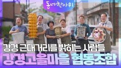 강경 근대거리를 밝히는 사람들 | KBS 250927 방송 