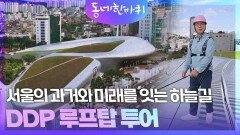 서울의 과거와 미래를 잇는 하늘길, DDP 루프탑 투어 | KBS 251011 방송 