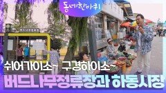 정류장에서 쉬어가이소~ 하동시장 구경하이소~ 버드나무정류장과 하동시장 | KBS 251025 방송 