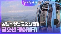바다를 품은 하동, 놓칠 수 없는 금오산 절경 ‘금오산 케이블카’ | KBS 251025 방송 
