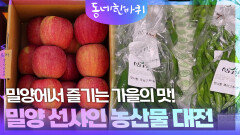 ‘밀양 선샤인 농산물 대전’ 밀양에서 즐기는 가을의 맛! | KBS 251115 방송 