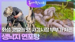 공룡알화석산지 갈대밭 & 사강시장 어부의 낙지연포탕 | KBS 251122 방송 