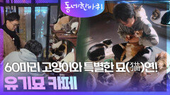 60마리 고양이와 특별한 묘(猫)연! 유기묘 카페 | KBS 260124 방송 