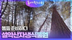 봄을 준비하다 - 설악산자생식물원 | KBS 260228 방송 