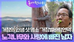 거창의 인생 샷 명소 ‘거창별바람언덕’, 노각나무와 사랑에 빠진 남자 | KBS 260425 방송 