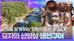 근심을 잊게 하는 거창의 절경 ‘수승대’, 모자의 산양삼 생선구이 | KBS 260425 방송 