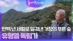 반백 년 세월로 일궈낸 거창의 푸른 숲, 유형열 독림가 | KBS 260425 방송 