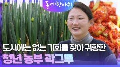 도시에는 없는 기회를 찾아 귀향한 청년 농부 곽그루 | KBS 260509 방송 
