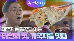 과학자를 꿈꾸던 아들, 태안의 맛 게국지를 잇다 | KBS 260620 방송 