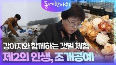 강아지와 함께하는 갯벌 체험 & 조개껍데기에서 빚어낸 제 2의 인생, 조개 공예 | KBS 260620 방송 